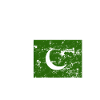 Drapeau pakistanais