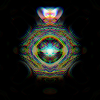 Rainbow Flower