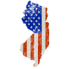 New jersey Home Usa flaga prezent
