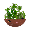 Jungle Wild Garden
