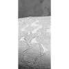 skitrack 08 03