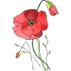 Fleur