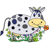 Cow