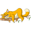 Lazy Cat / Sleeping Cat