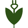 La fleur électrique