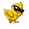 Funny Sunglasses Duck