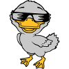 Cool Sunglasses Ducklings Comic