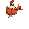 Eat Sleep Chickens Repeat