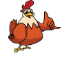 Chickens for everyone