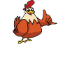 Easily distracted by chickens