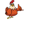 Chicken mother and wine lover