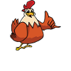 Chicken Whisperer