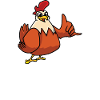Chickens are better than therapy