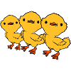 3 Ducklings Friends Team