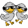 2 Cool Duckling Sunglasses