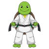 Turtle Karate Martial Arts