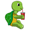 Turtle Mug to go
