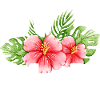 summer