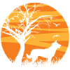 Germanic Karelian Bear Dog Sunrise