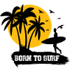 Born to surf