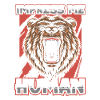 Grizzly Bear Brown Bear