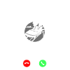 Roller Coaster Phone Display