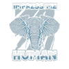 Éléphant