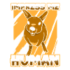 Kangaroo