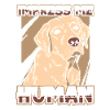 Labrador Dog