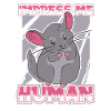 Chinchilla