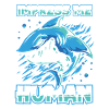 Requin