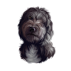 Lagotto Romagnolo Cane Acquerello Illustrazione