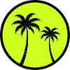 Palm trees