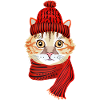 chat hiver