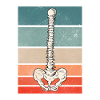 Chiropraktiker