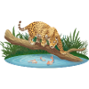 Leopard jagt im Wasser