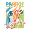 Parrots Bird Parakeet