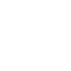 Raccoon