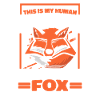 Fox Foxes Animal