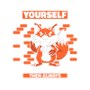 Fox Foxes Animal