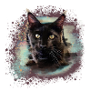 maincoon,katze,graffiti,malerei, Maine-Coon-Katze,