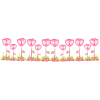 pink flowers rose line grass