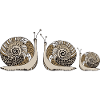 Snails