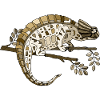 Caméléon