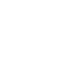 NOT YOUR ERNST