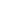Electro Craftsman