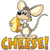 CHEESE! The cute cartoon mouse.