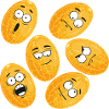 Muskmelon