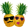 Mr. & Mrs. Pineapple