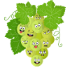 Grape